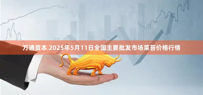 万通资本 2025年5月11日全国主要批发市场菜苔价格行情