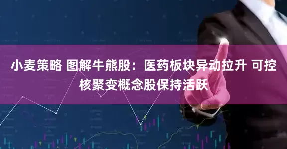 小麦策略 图解牛熊股：医药板块异动拉升 可控核聚变概念股保持活跃