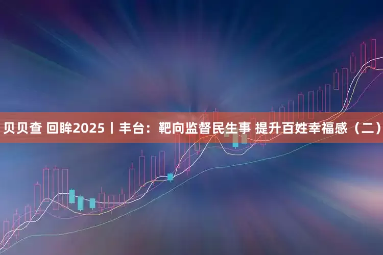贝贝查 回眸2025丨丰台：靶向监督民生事 提升百姓幸福感（二）